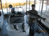 (11/02/2015) - Nice Striped Bass